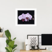 Poster-Orchid-Blume Poster (Heimbüro)