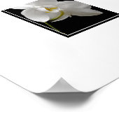 Poster-Orchid-Blume Poster (Ecke)