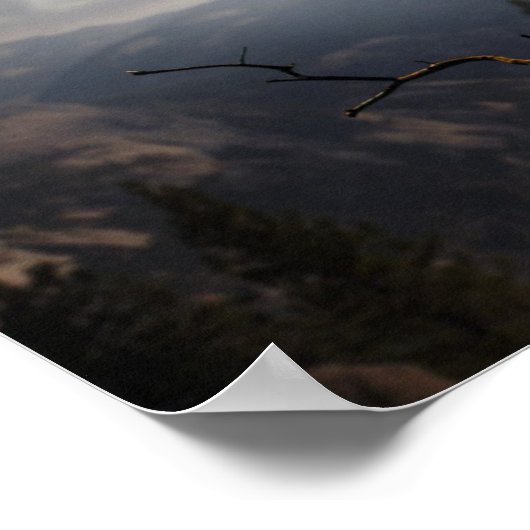 Poster-Owl Poster (Ecke)