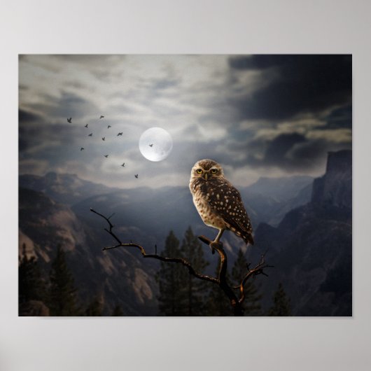 Poster-Owl-Poster Poster (Vorne)