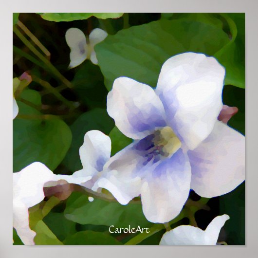 Poster "Painted White Violets" (Vorne)