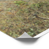 Poster Paisaje Montana Cunen Quiche Guatemala (Ecke)