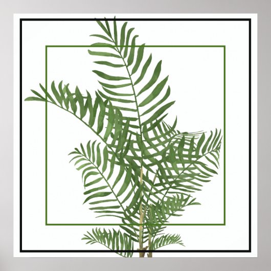Poster-Palm 24" x 24" Poster (Vorne)