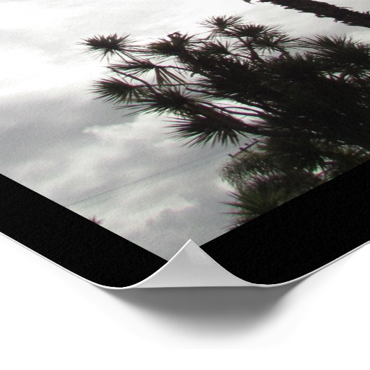 Poster - Palm Tree Silhouette (Ecke)