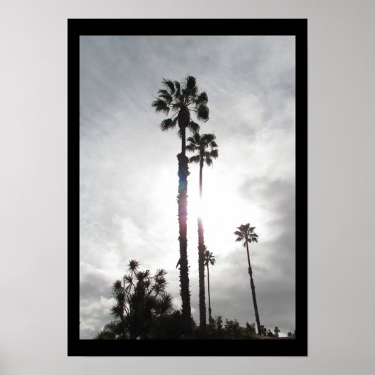Poster - Palm Tree Silhouette (Vorne)