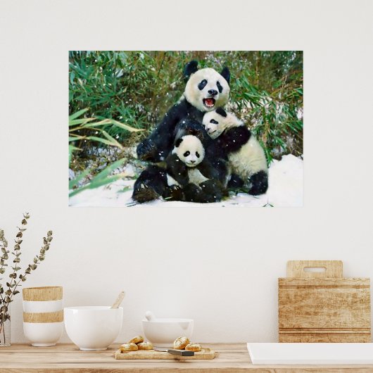 Poster Panda cubs (Küche)