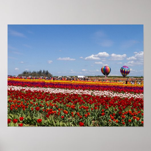 Poster Paper (Matte) (Vorne)