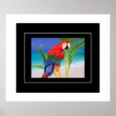 Poster-Parrot Poster (Vorne)