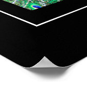 Poster-Peacock Poster (Ecke)