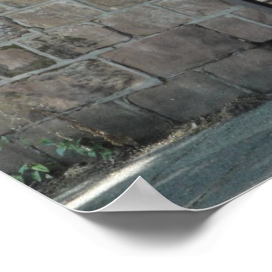 Poster - Penny Lane (Ecke)