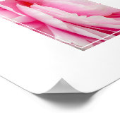Poster-Peony-Blume Poster (Ecke)