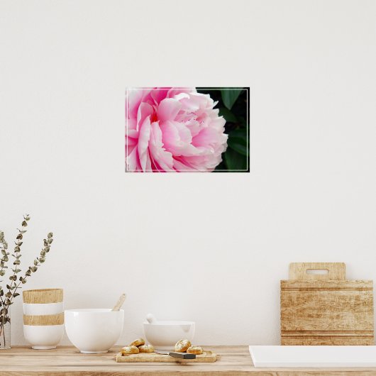 Poster-Peony-Blume Poster (Küche)