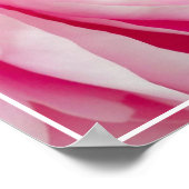 Poster-Peony-Blume Poster (Ecke)