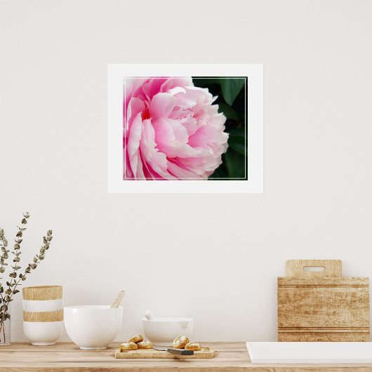 Poster-Peony-Blume Poster (Küche)