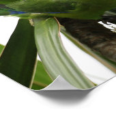 POSTER PERIQUITO TUIM 2 (Ecke)