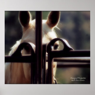 Poster, Perspektivwechsel, Pferd, Bauernhof, Rodeo Poster