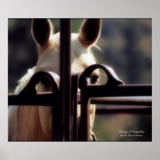 Poster, Perspektivwechsel, Pferd, Bauernhof, Rodeo Poster (Vorne)