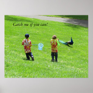 Poster - Pfauenjäger