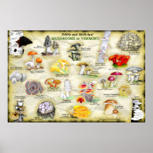 Poster-Pilze aus Vermont