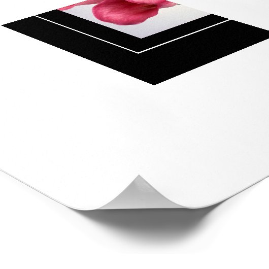 Poster-Pink Calla Lilies Poster (Ecke)