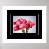 Poster-Pink Calla Lilies Poster (Vorne)