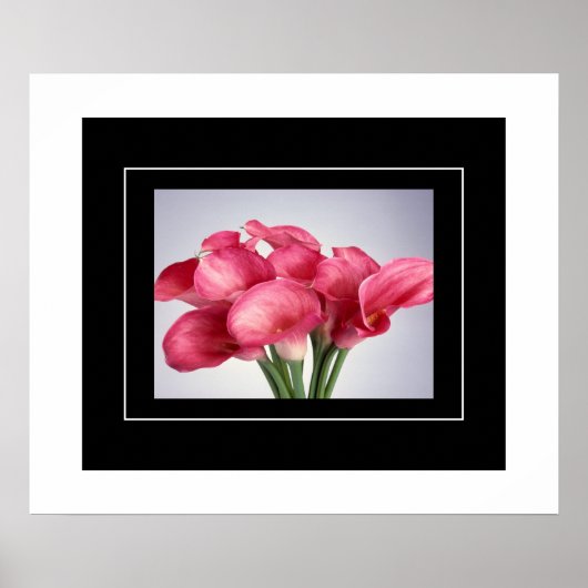 Poster-Pink Calla Lilies Poster (Vorne)