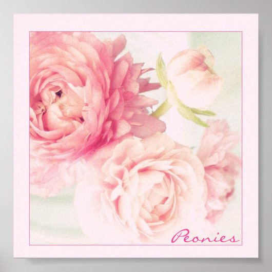 Poster Pink Peonies (Vorne)