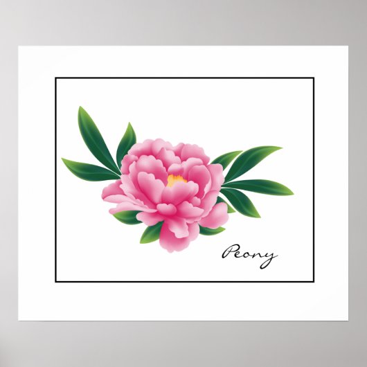 Poster-Pink-Peony Poster (Vorne)