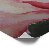 POSTER Pink Rose (Ecke)