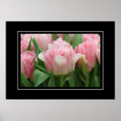Poster Pink Tulips (Vorne)