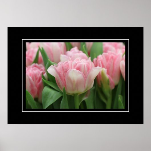 Poster Pink Tulips (Vorne)