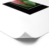 Poster Pink Tulips (Ecke)