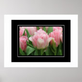 Poster Pink Tulips (Vorne)