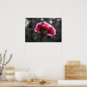 Poster Pinke Rose Eleganz (Küche)