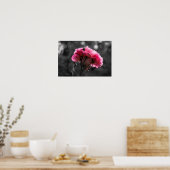 Poster Pinke Rose Eleganz (Küche)