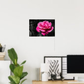 Poster Pinke Rose Eleganz (Heimbüro)