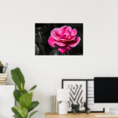 Poster Pinke Rose Eleganz (Heimbüro)