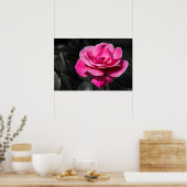 Poster Pinke Rose Eleganz (Küche)
