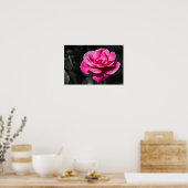 Poster Pinke Rose Eleganz (Küche)