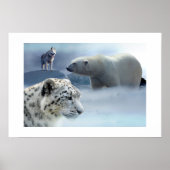Poster-Polar-Bär-Husky-Snow Leopard Poster (Vorne)