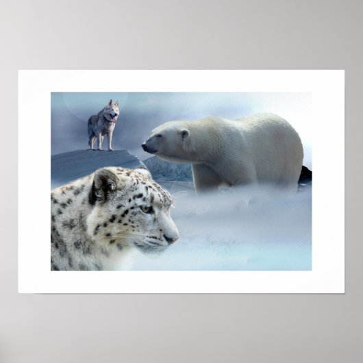 Poster-Polar-Bär-Husky-Snow Leopard Poster (Vorne)