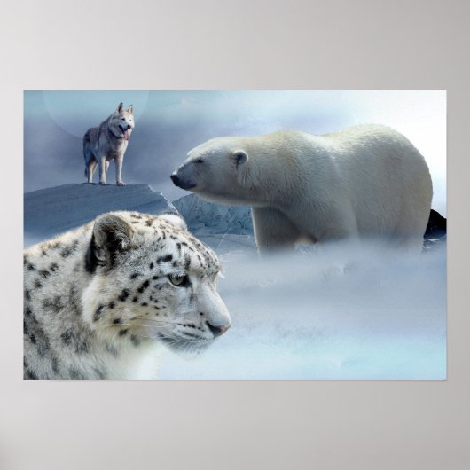 Poster-Polar-Bär-Husky-Snow Leopard Poster (Vorne)