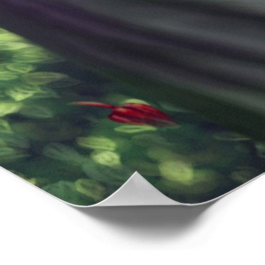 Poster "Possessed" (Ecke)