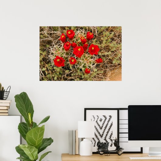 Poster "Prickly Pear Cactus Blume" (Heimbüro)