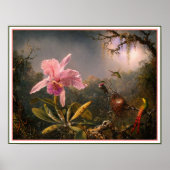 Poster/Print: Cattleya Orchid & Three Hummingbirds Poster (Vorne)
