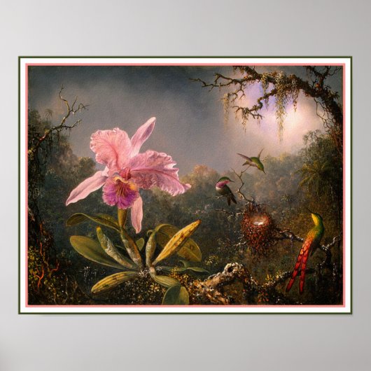 Poster/Print: Cattleya Orchid & Three Hummingbirds Poster (Vorne)