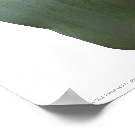 Poster/Print: "Celadon Undulate" Poster (Ecke)