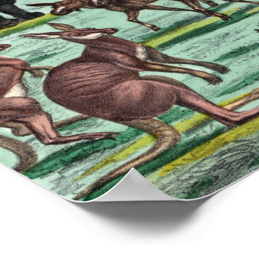 Poster/Print "Noah's Ark" Poster (Ecke)