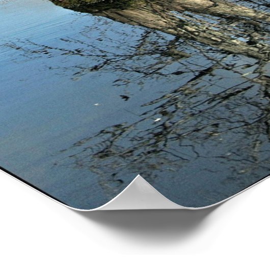 Poster Print: Zwei Bäume als eine (Ecke)