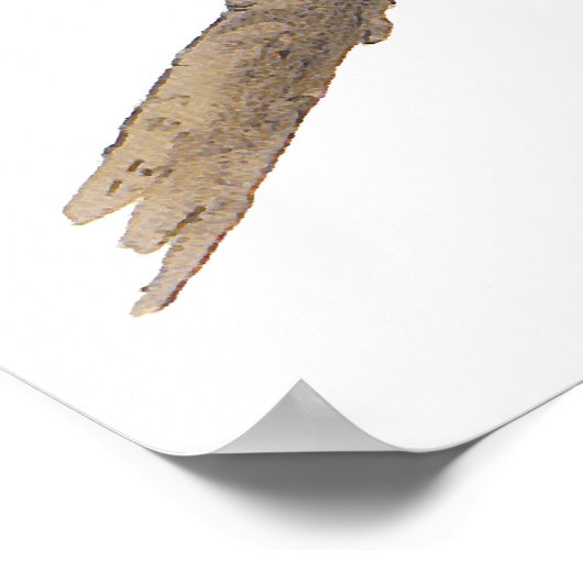 Poster/Prints: Audubon - Great Gray Owl Poster (Ecke)